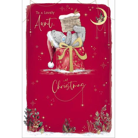 Lovely Aunt Me to You Bear Christmas Card